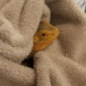 Meet your Posher, Evan